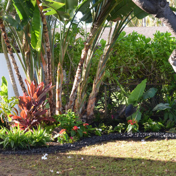 Tropical Oasis