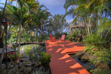 Home design - tropical home design idea in Hawaii