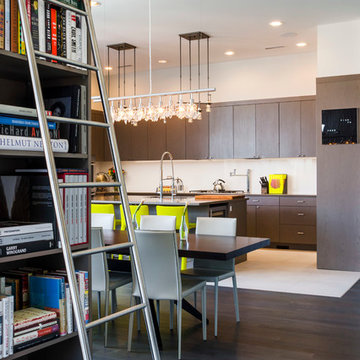 Chicago Lincoln Park Condo