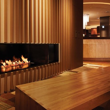 XL900 Ethanol Burner