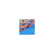 Isabel Perez's photo