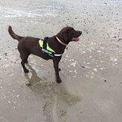 Harry Grimes's photo