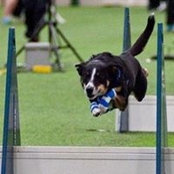 Cathy Reilly's photo