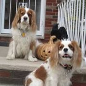 Michele Warth Cordier's photo