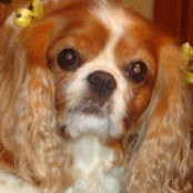 Judy Burgo's photo