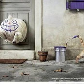 Foto von soooos