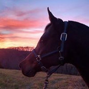 Cheryl Roland's photo