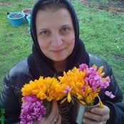 Foto von Веселина Пеева