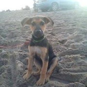 Elke Kaul's photo