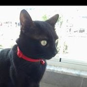 TC Dilek Turan's photo