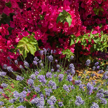 Planting Design