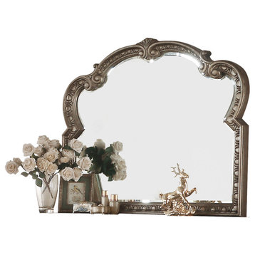 Acme Traditional Mirror With Antique Champagne Finish 26936