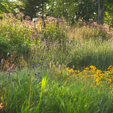 LaurelRock Company: High Meadow Farm