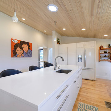 Mid-Century Modern Home Renovation - Interior