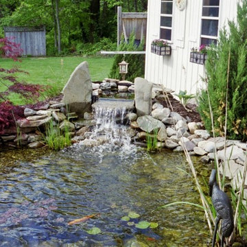 Ponds and Streams