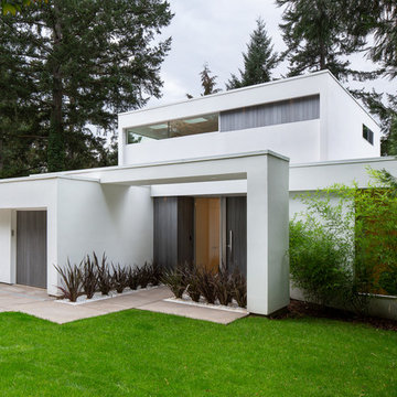 Modern Luxury Project