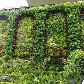 Landscaping- Terrace Garden, Vertical Patch,