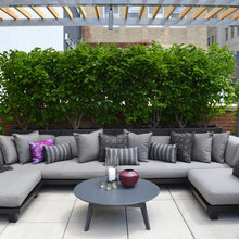 terraza clau