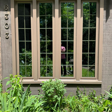 Replacement Windows