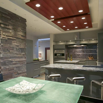 Modern kitchen cabinets Design Remodel