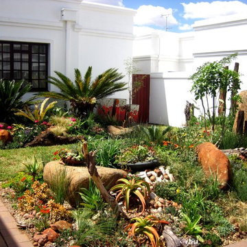 Small Water Wise Townhouse Garden