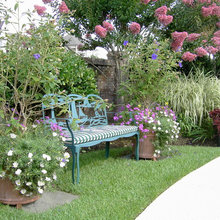 Backyard Ideas