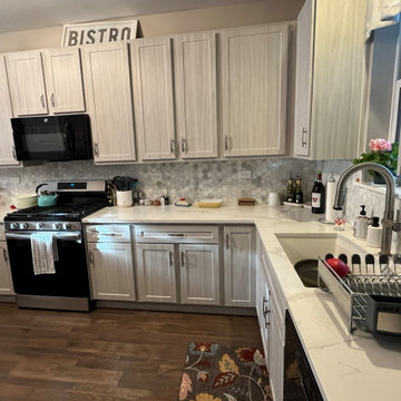 Transitional Kitchen Remodel Done in Swiss Elm Skye Cabinets