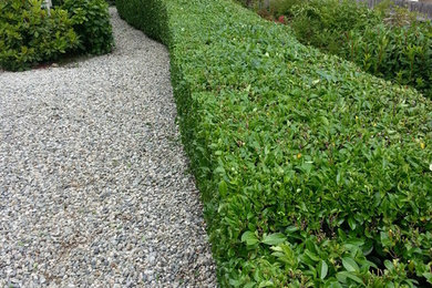 Design ideas for a landscaping in Vancouver.