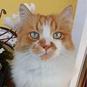 Laura Lamo's photo