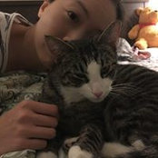 Foto von Sanli Tan