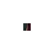 Jeff Fucci's photo