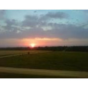 Della Wrightsman's photo