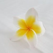 Marina Domitile's photo
