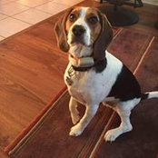 Suzie Wojciechowski's photo