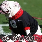 Tammy Bowen's photo