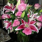 Enhuush Bayar's photo