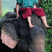 Graham Roen's photo