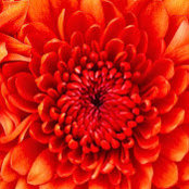Nirav Mehta's photo