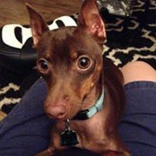 Loralee Alemanni's photo