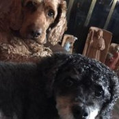 Maureen Roushar's photo