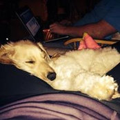 Liz Jemison's photo