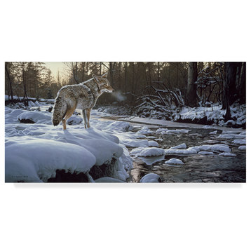 Ron Parker 'Winter Creek Coyote' Canvas Art, 24"x12"