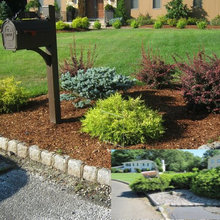 front lawn