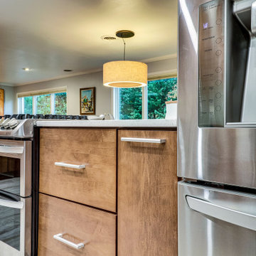 Mid-Century Modern Kitchen Design Alexandria, VA