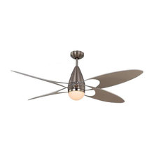 ceiling fans