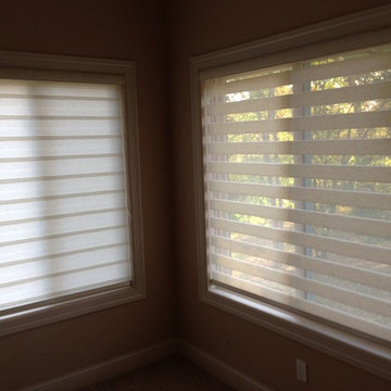 Allure Transitional Shades