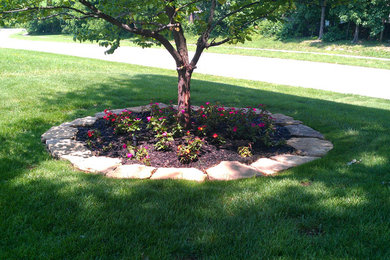 Inspiration for a mid-sized transitional full sun front yard landscaping in Other for spring.