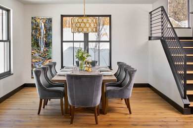 Inspiration for a modern dining room remodel in Denver