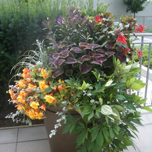 garden pots