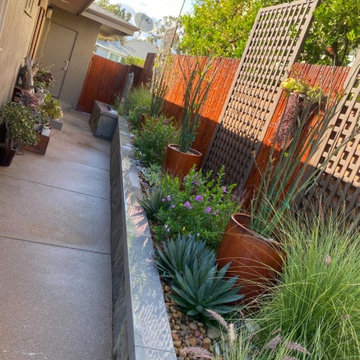 Flowers and Tree Care